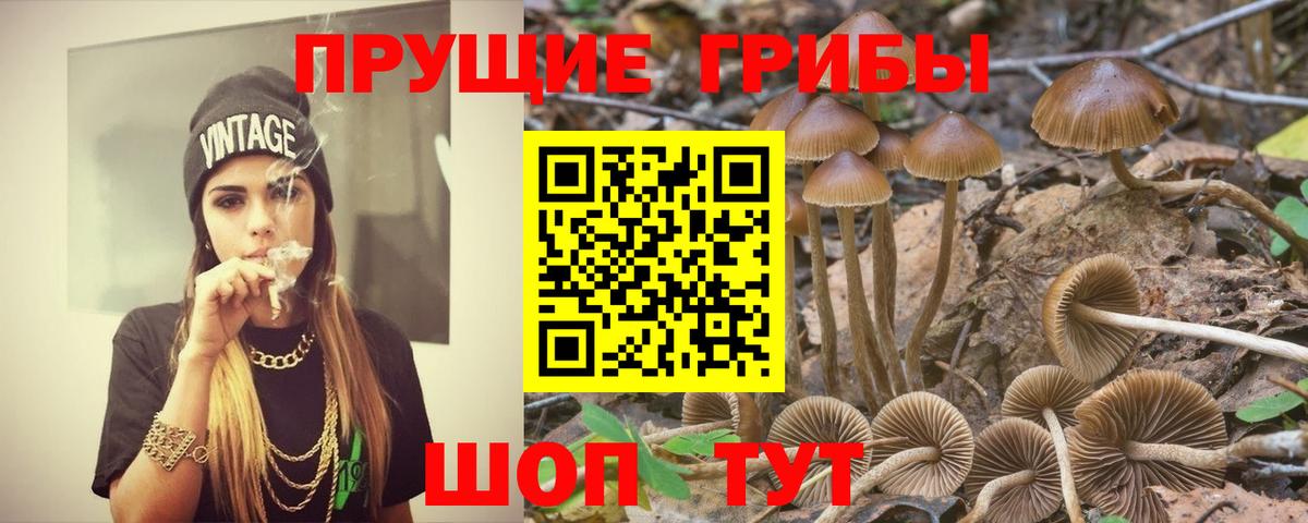 Псилоцибиновые грибы мухоморы Кстово