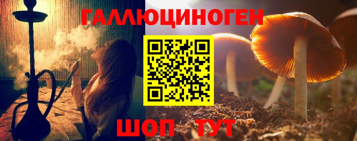 Кстово  Псилоцибиновые грибы MAGIC MUSHROOMS  купить наркотики сайты  Вход с VPN 